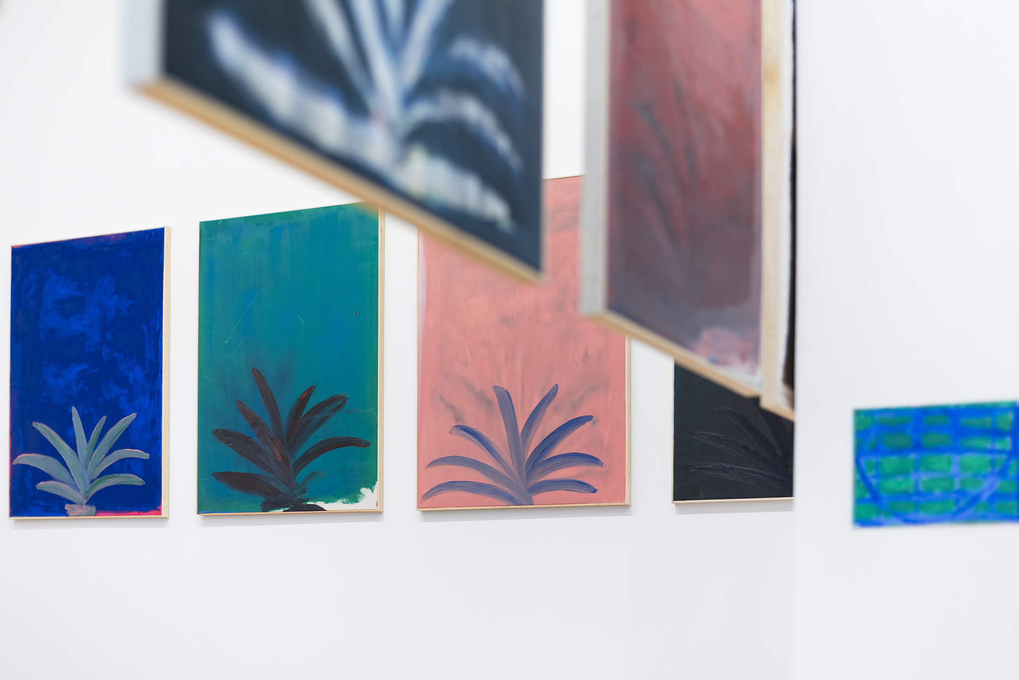 András Király at Viltin Gallery